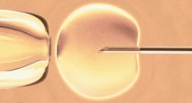 IVF, YouTube, Alabama