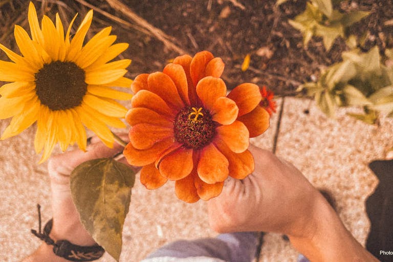 Use only for this article.