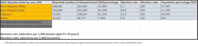 CDC abortion stats by race ethnicity in communities of color for 2022 CDC abortion stats by race ethnicity in communities of color for 2022