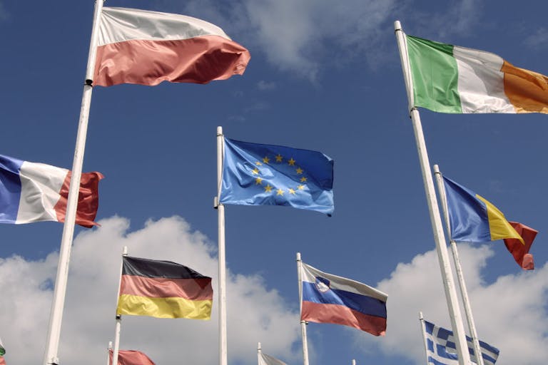 European Union Flags