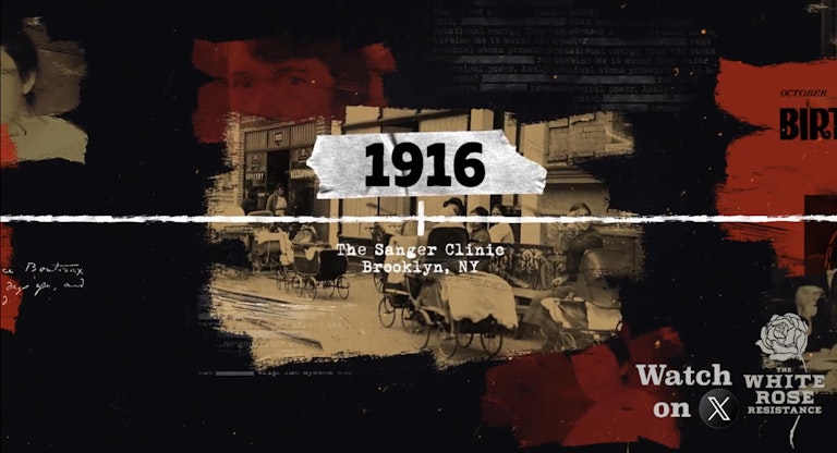 sanger 1916 project screenshot
