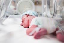 abortion survivor, born-alive, premature baby