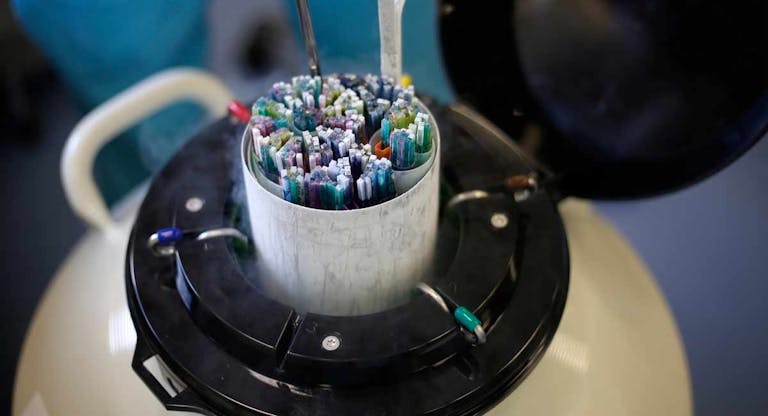 IVF-in-vitro-fertilization-frozen-embryos