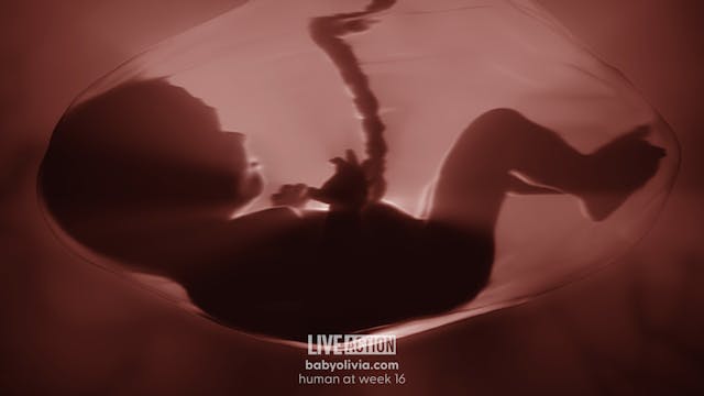 abortion, Baby Olivia, Florida, Utah Olivia-Week18-5