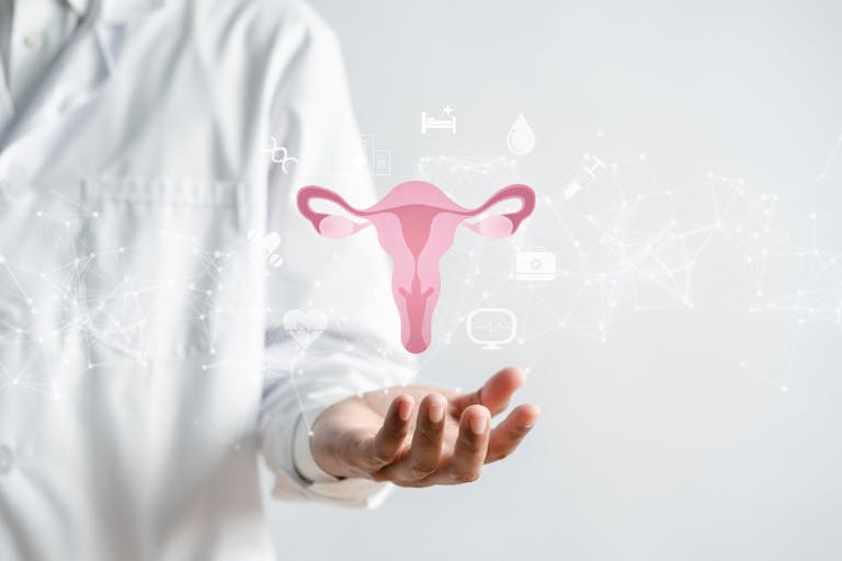 doctor in a white coat holding virtual uterus reproductive system , woman health, PCOS, ovary gynecologic and cervix cancer, Healthy feminine concept