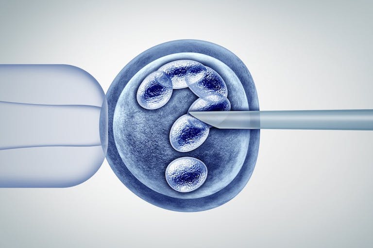 IVF, human-animal hybrid, pioneer, surrogacy, egg donation