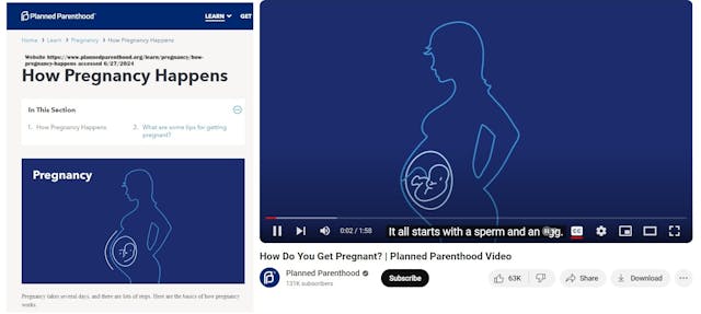 Planned Parenthood pregnancy video shows the embryo 3 Planned Parenthood pregnancy video shows the embryo 3