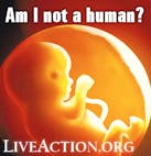 am-i-not-a-human