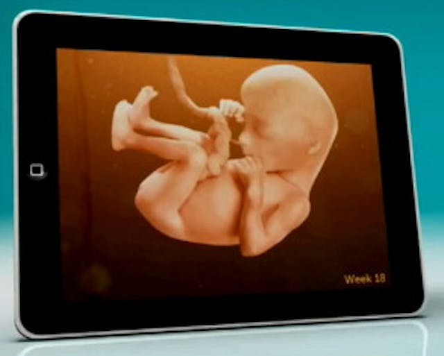 pampers-baby