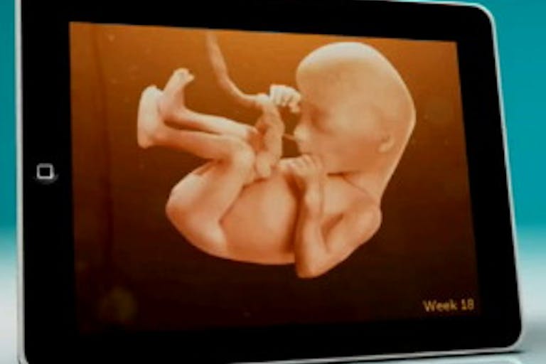pampers-baby