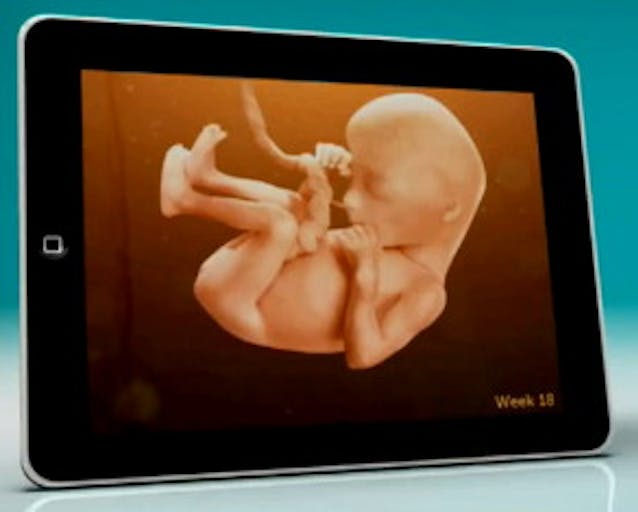 pampers-baby