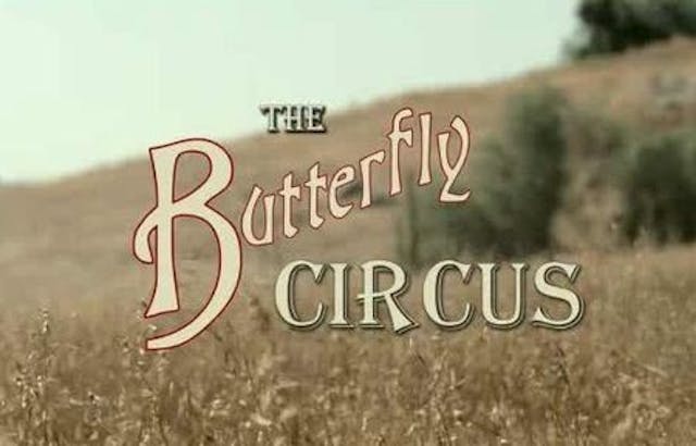 The Butterfly Circus movie image