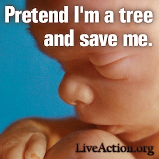 pretend i’m a tree baby