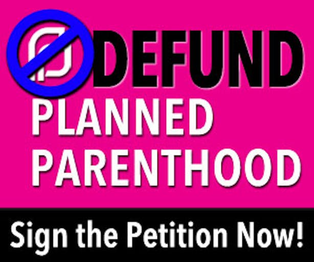Defund-PP_300x250