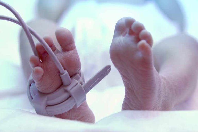 baby, third trimester, heart, newborn, abortion survivors, abortion