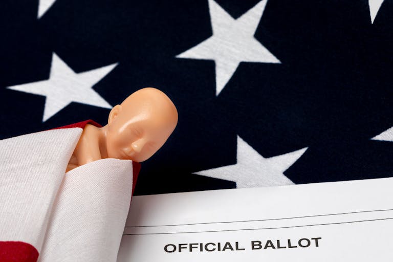 Fetus swaddled in American flag with election ballot. Abortion rights, reproductive law and abortion access concept.