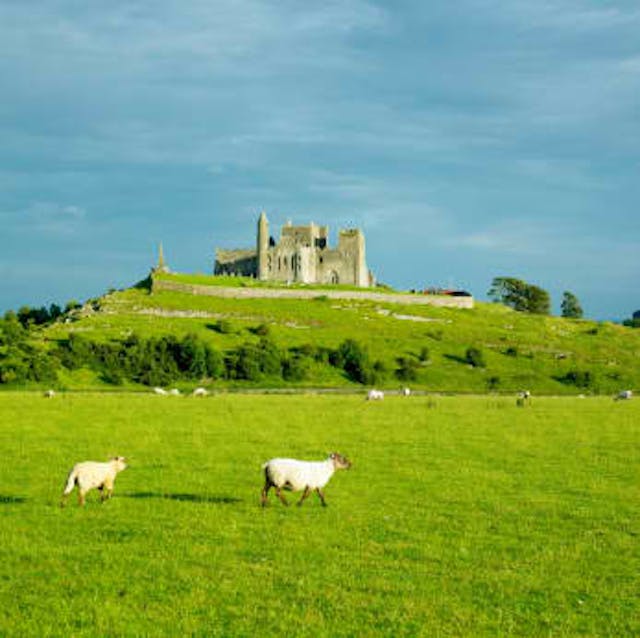 Cashel is reputed to be the site of the conversion of the King of Munster by St. Patrick in the 5th century. The structures on the site date from the 12th century. Cashel is reputed to be the site of the conversion of the King of Munster by St. Patrick in the 5th century. The structures on the site date from the 12th century.
