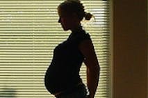 Baby bumps? why not “fetus bumps”? image