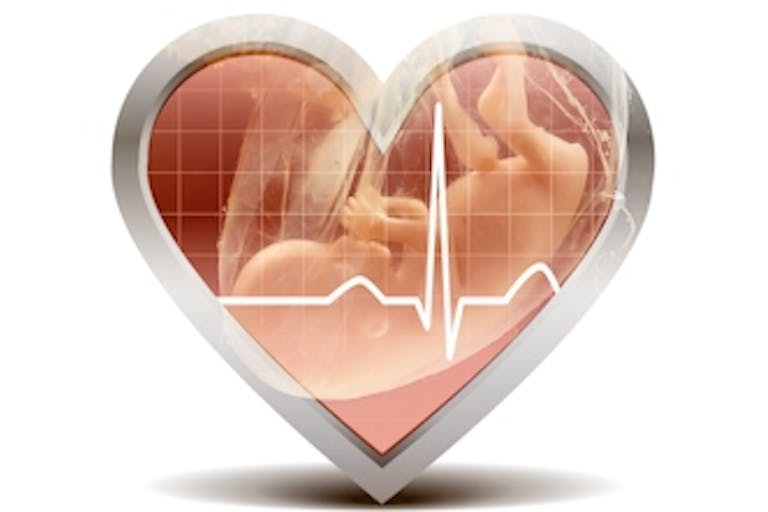 heart-baby