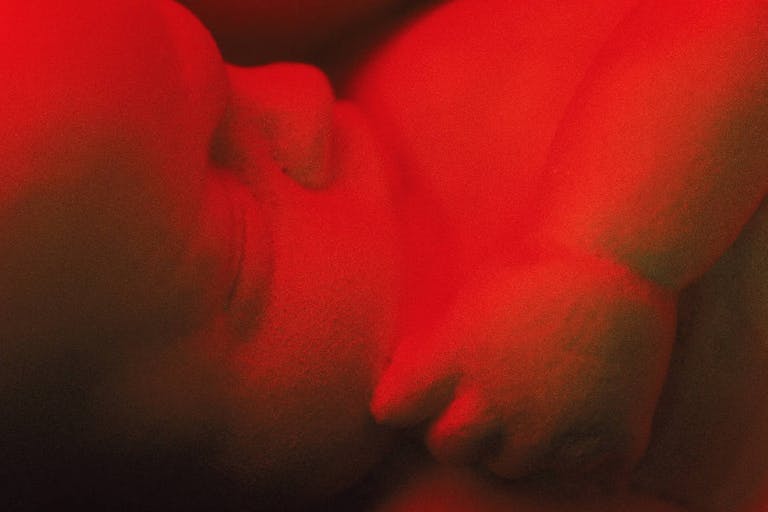 fetus image