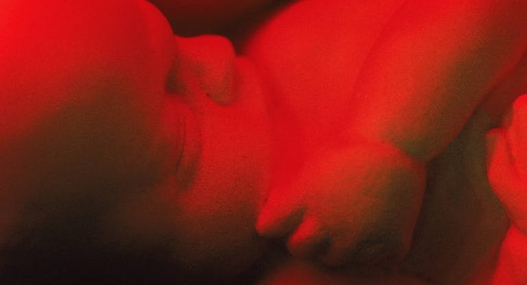 fetus image