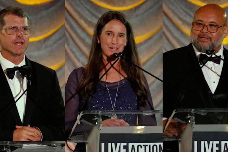 2024 gala awardees