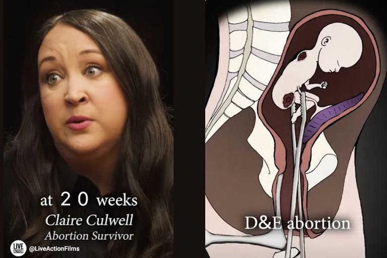 Untitled design – 2024-10-06T173516.762