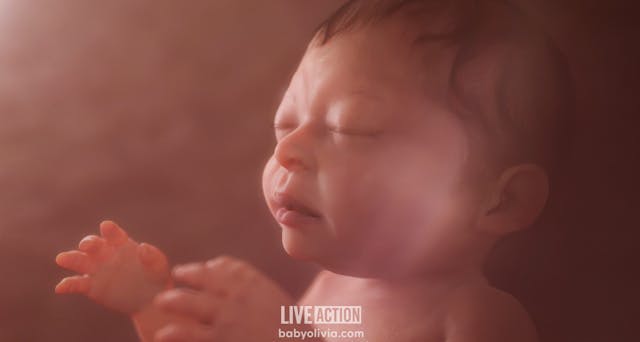Baby Olivia