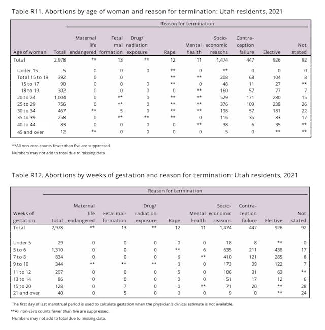 Utah abortion by reason 2021 Utah abortion by reason 2021