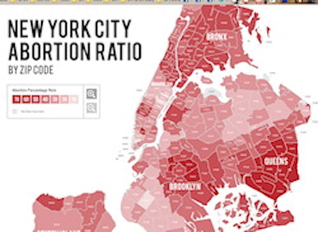 Dear New York, stand for all life image