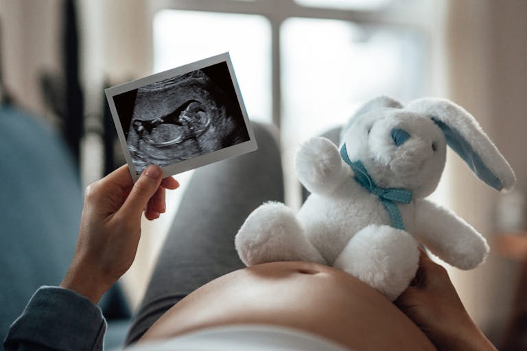 South Carolina, abortion, pregnancy, North Carolina, ultrasound, bishops
