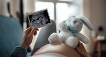 South Carolina, abortion, pregnancy, North Carolina, ultrasound, bishops