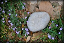 Memorial Stone