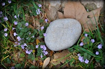 Memorial Stone