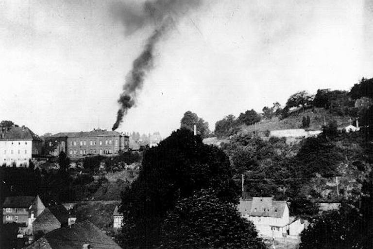 Smoke rising from Nazi concentration camps Pope Francis condemns abortion on babies with disabilities: ‘We do the same as the Nazis’ image