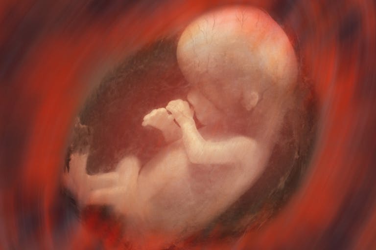 aborted, science, heartbeat
