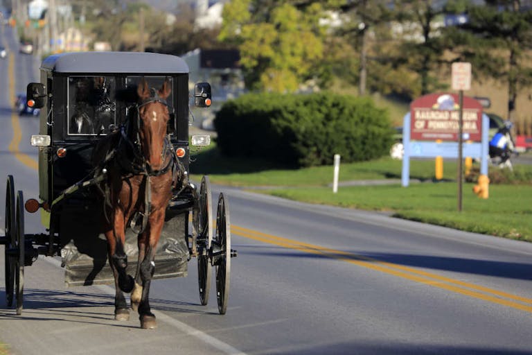 Amish buggy on country road