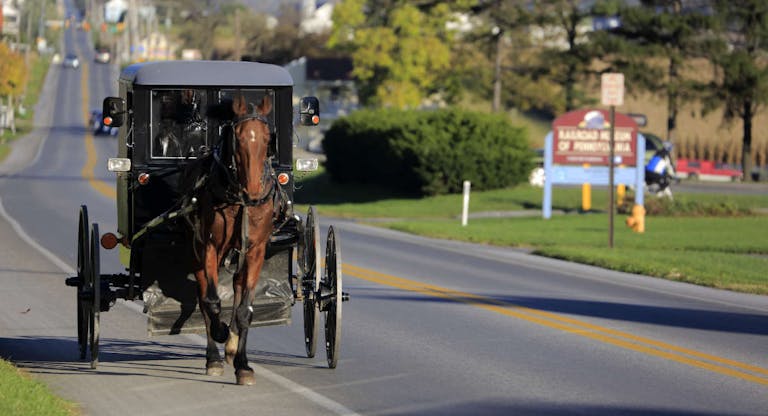 Amish buggy on country road