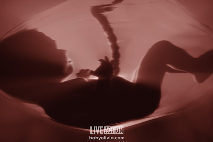 abortion, Baby Olivia, Florida, Utah