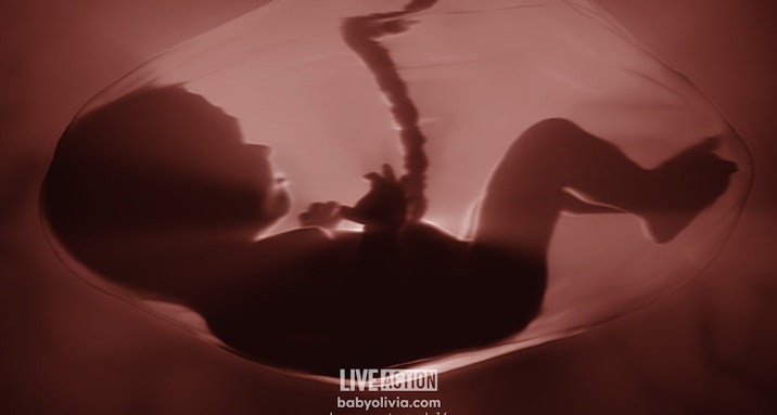 abortion, Baby Olivia, Florida, Utah