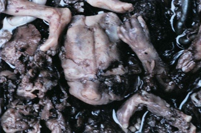 ‘Safe, legal, and rare’ is gone. Now it’s ‘more abortion, all the time.’ image