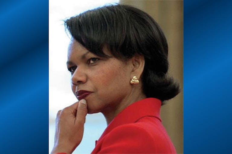 condi_rice2