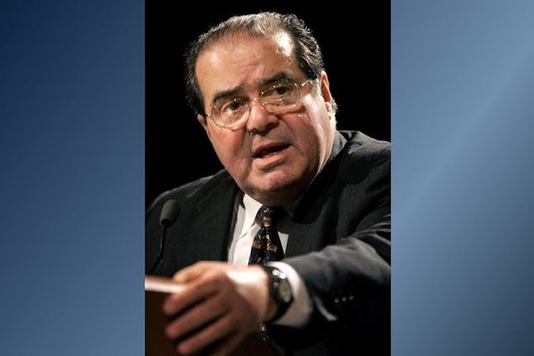 scalia