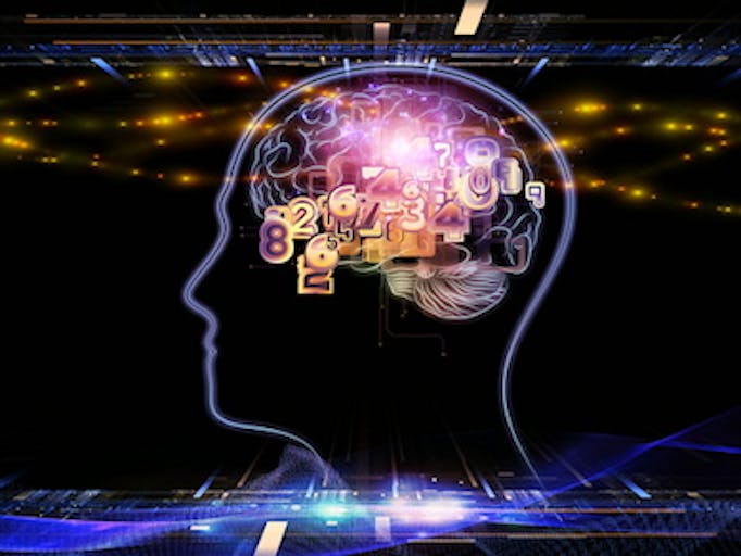brain-logical