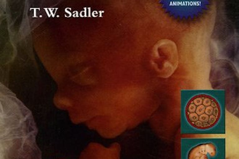 Langman Medical Embryology