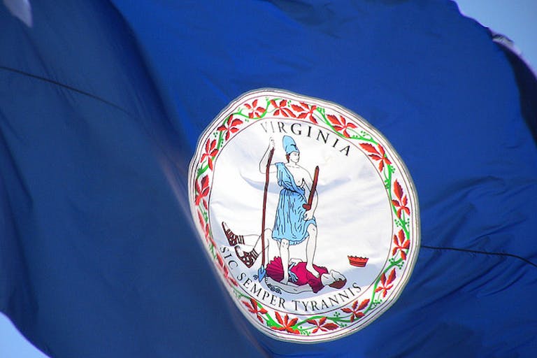Virginia Flag