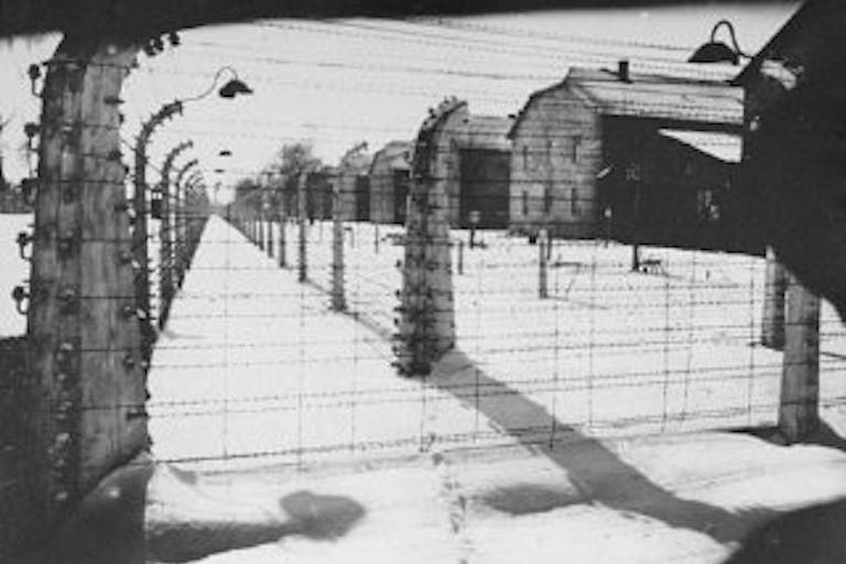 Auschwitz