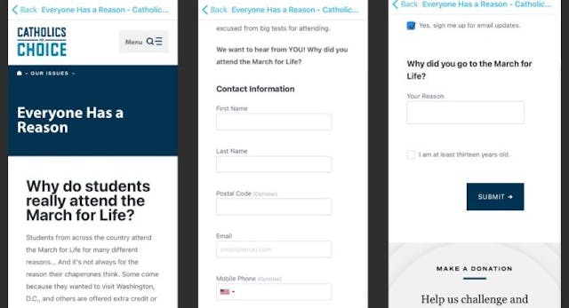 Catholics for Choice survey (Screenshot) Catholics for Choice survey (Screenshot)