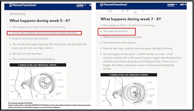 Planned Parenthood fetal development website 5-6 weeks fetal heartbeat 06242022 Planned Parenthood fetal development website 5-6 weeks fetal heartbeat 06242022