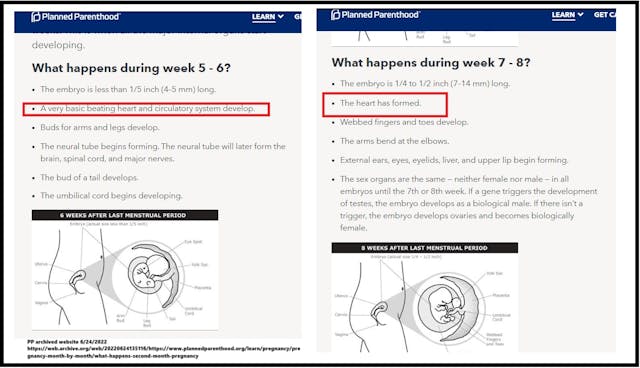 Planned Parenthood fetal development website 5-6 weeks fetal heartbeat 06242022